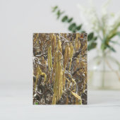 種鞘 ポストカード (スタンド正面)