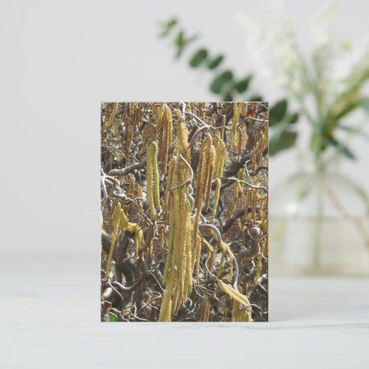 種鞘 ポストカード (スタンド正面)