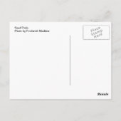 種鞘 ポストカード (裏面)