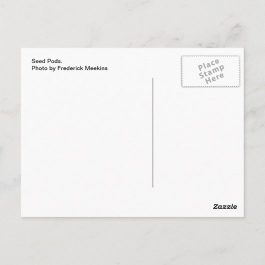 種鞘 ポストカード (裏面)