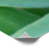 種頭クレマチス ポスター (角)