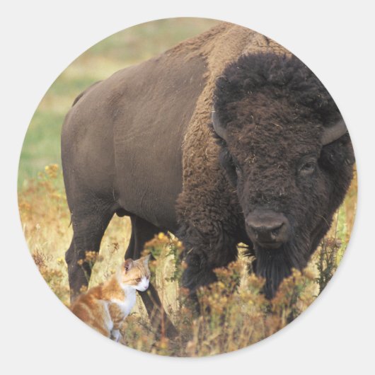 種類の2 ラウンドシール (正面)