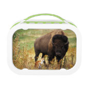 種類の2 ランチボックス (正面)