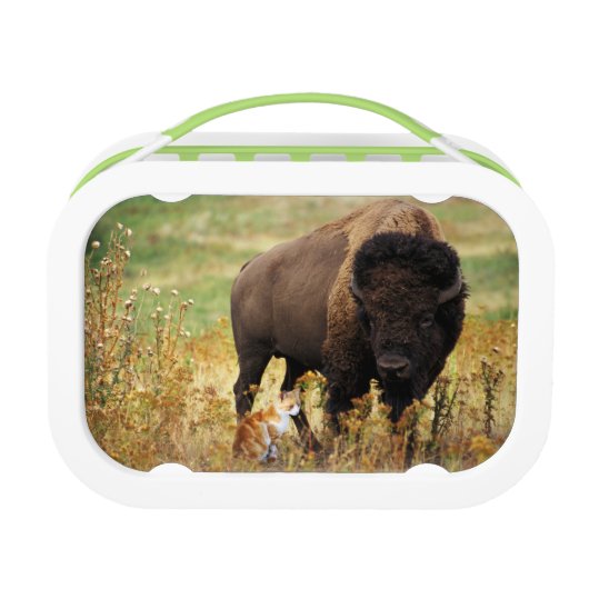 種類の2 ランチボックス (正面)