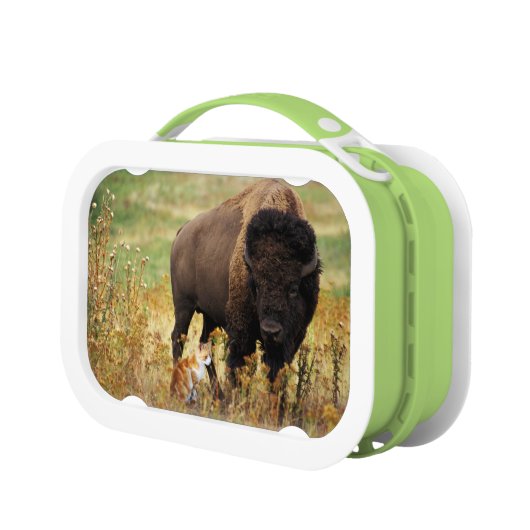 種類の2 ランチボックス (左)