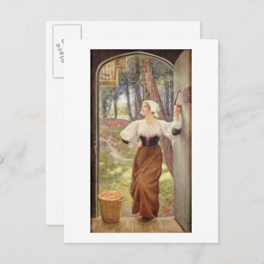 種類内のティース(紙付き) ポストカード (正面/裏面)