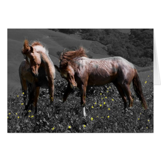 種馬のスパー (正面横)