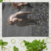 種馬のスパー キッチンタオル (折り畳み)