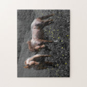 種馬のスパー ジグソーパズル (縦)