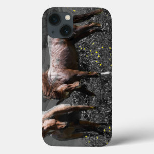 種馬のスパー iPhone 13ケース