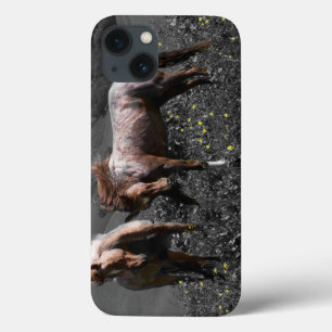 種馬のスパー iPhone 13ケース