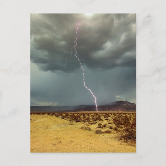 稲妻のジョシュアツリー色 ポストカード (正面)
