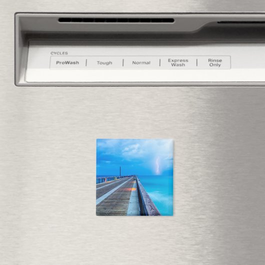 稲妻アットナバラビーチピア マグネット (インサイチュ (食洗機))