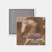 稲妻アローランチマグネット マグネット (正面/裏面)