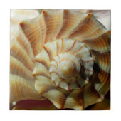 稲妻ウエルクスクエアセラミックタイル タイル (正面)