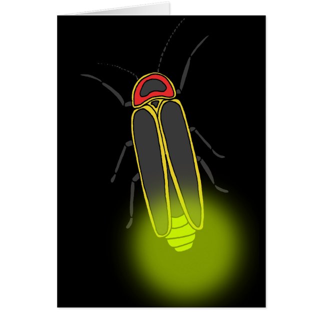 稲妻バグ点灯 (正面)