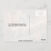 稲妻組織 ポストカード (裏面)