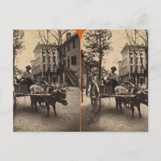 稲妻表現、サバンナ、ガシア1886 ポストカード