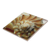 稲妻貝の広場 セラミックタイル (側面)