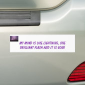 稲妻 バンパーステッカー (車上)