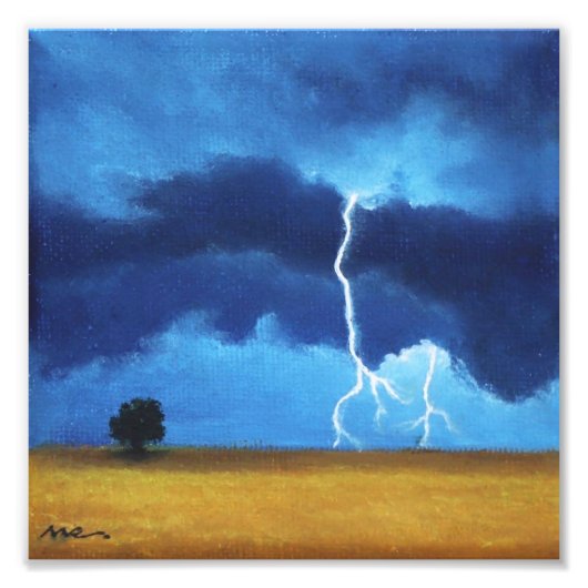 稲妻 フォトプリント            (正面)