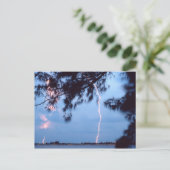 稲妻 ポストカード (スタンド正面)