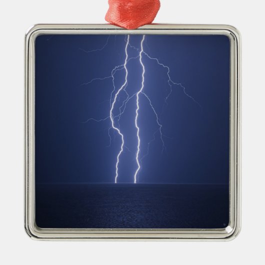 稲妻 メタルオーナメント (正面)