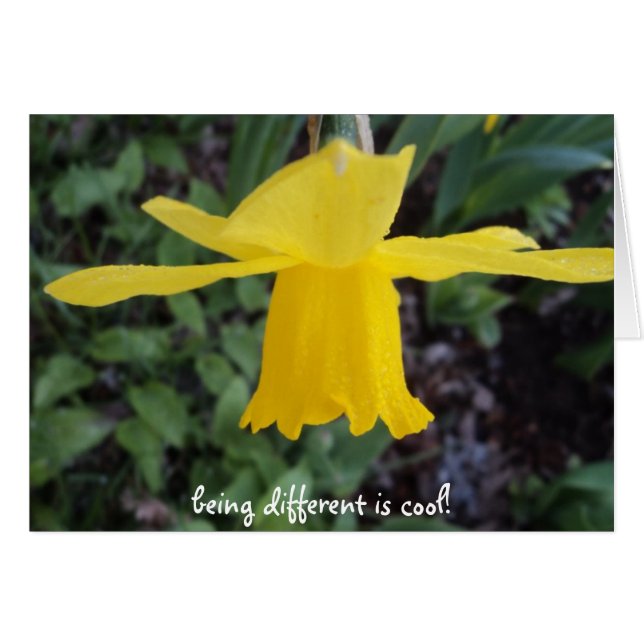 穀物に対して良いですがあります (正面横)