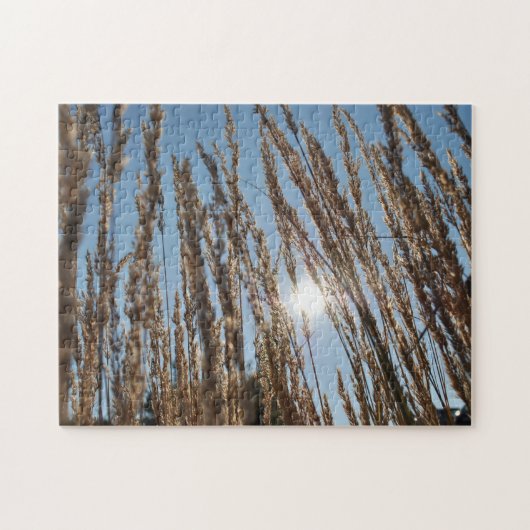 穀物コーンフィールドハーベストサンビューティフルファームフォト ジグソーパズル (横)