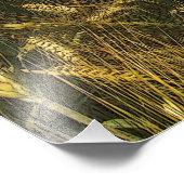 穀物畑 フォトプリント            (角)