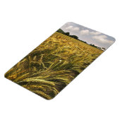 穀物畑 マグネット (左側)