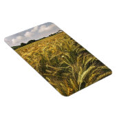 穀物畑 マグネット (右側)