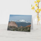 穂先のピークカード カード (黄色い花)