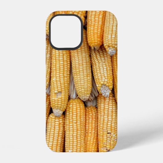 積まれた乾燥トウモロコシ iPhoneケース (裏面)