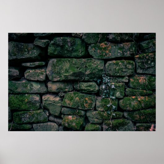 積み重ねた石ブロックに茶色のつる植物 ポスター (正面)