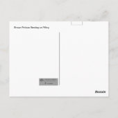 積み重ねている茶色のペリカン ポストカード (裏面)