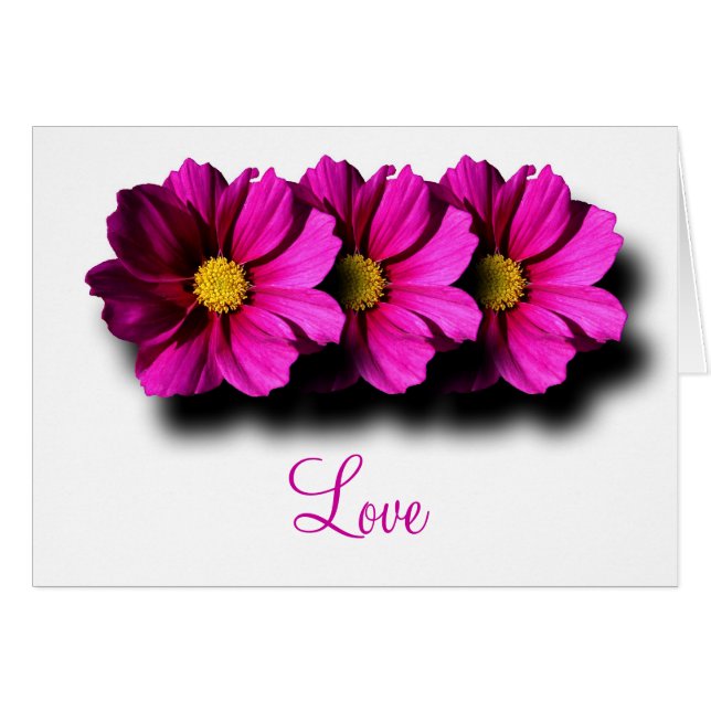 積み重ねられた宇宙 (正面横)