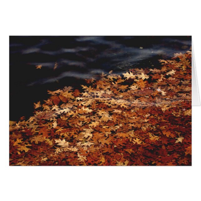 積んで下さい (正面横)