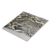 積雪カエデ日本の タイル (側面)