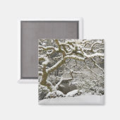 積雪カエデ日本の マグネット (正面/裏面)