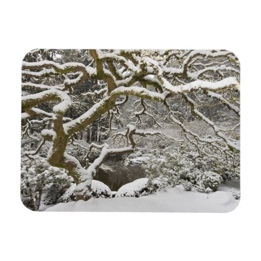 積雪カエデ日本の マグネット (横)