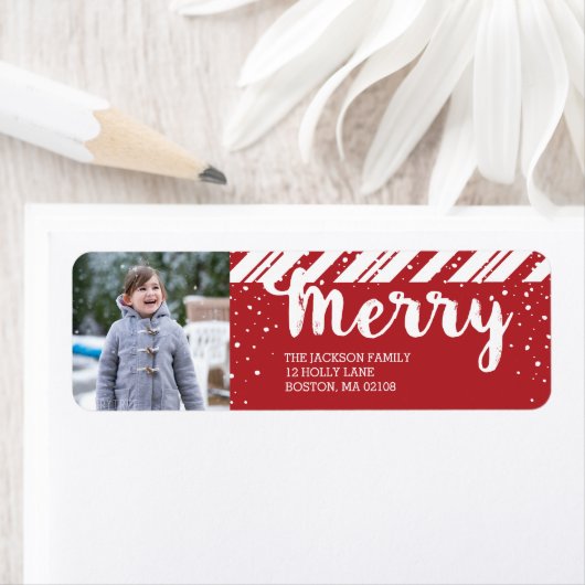 積雪メリー収集 ラベル (インサイチュ)