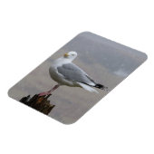 積雪時カモメ縦型フレキシブル写真磁石 マグネット (左側)