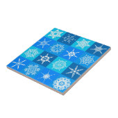 積雪 タイル (側面)