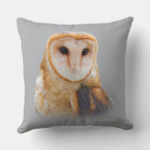 穏やかで美しい納屋フクロウ クッション (裏面)