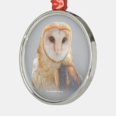 穏やかで美しい納屋フクロウ メタルオーナメント (左)