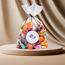 穏やかなアライグマ動物の少年の赤ちゃんシャワーありがとう ラウンドシール