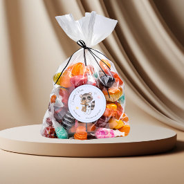 穏やかなアライグマ動物の少年の赤ちゃんシャワー ラウンドシール