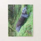 穏やかなカワウソの川辺自然野生生物静か ジグソーパズル (縦)