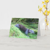 穏やかなカワウソの川辺野生生物自然シーン カード (黄色い花)